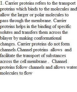 Lecture 3 DQ Membrane Dynamics